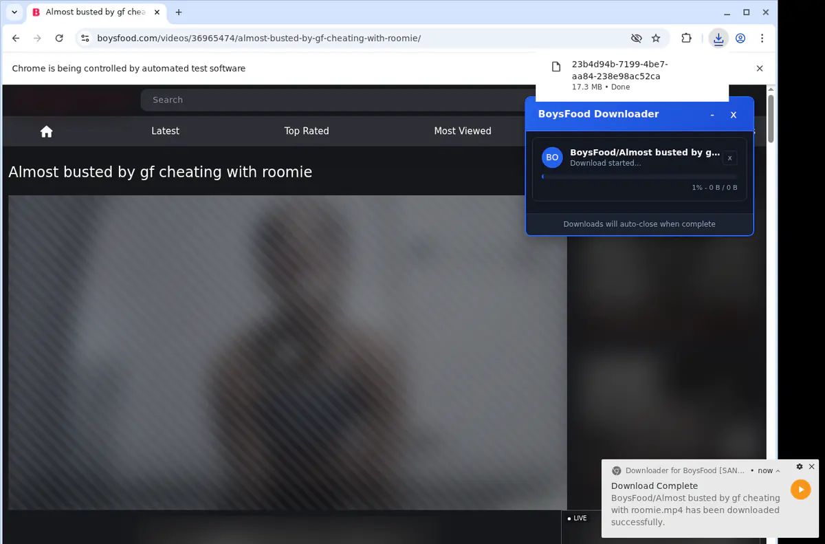 Boysfood Video Downloader screenshot 2