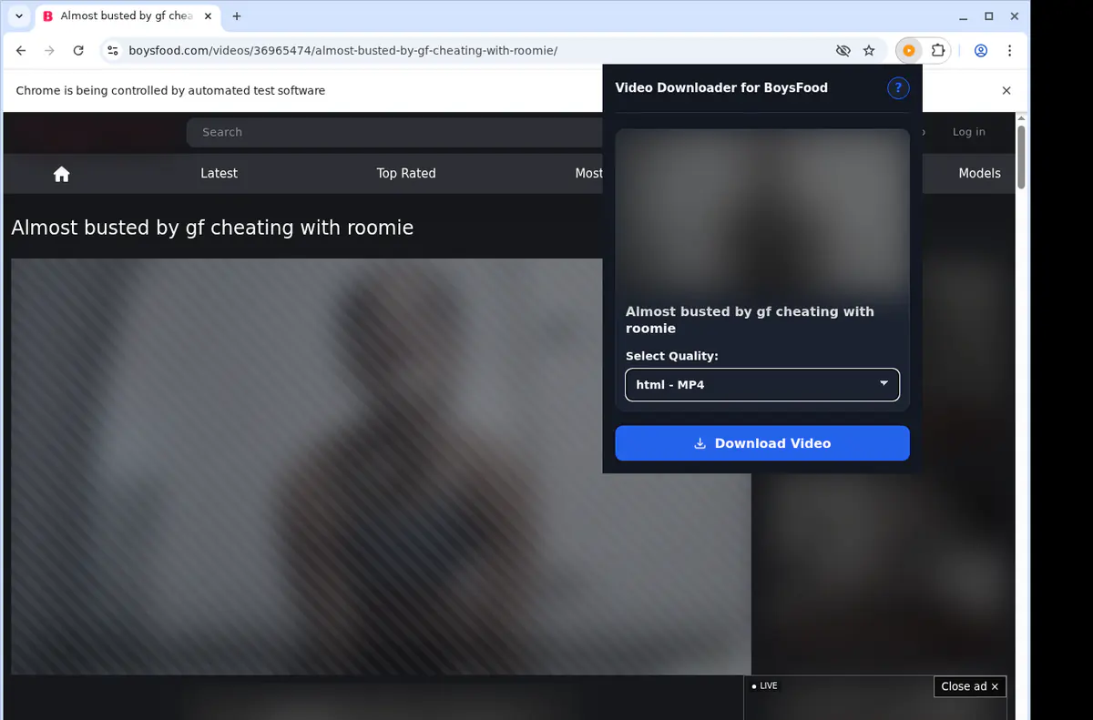 Boysfood Video Downloader screenshot 3